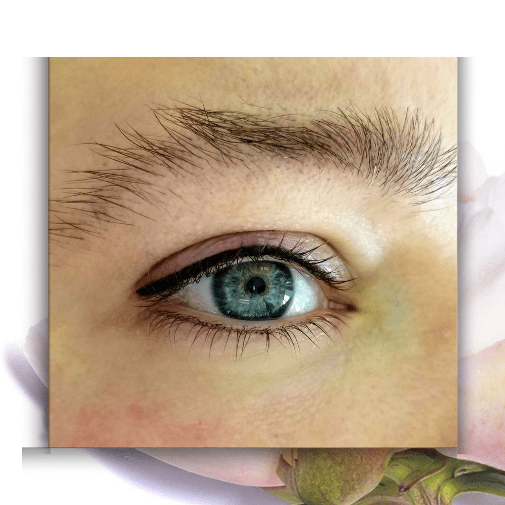 Permanent Cosmetics Before and After